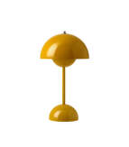 Portable lamps
