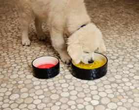 Dogs Bowl S, red/blue