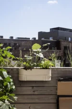 Bau Balcony Box, cashmere