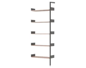 Rombe IF4 Add-on Bay Shelves, anthracite/lacquered walnut
