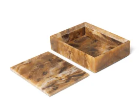 Mist Box 15x20, sugar kelp