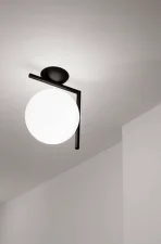 IC C/W1 Ceiling/Wall Lamp, black
