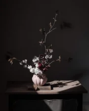 Bloom Vase Petit, rose