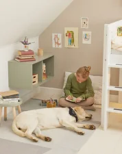 Roomie Bookcase, natural green