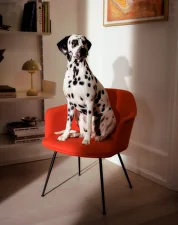 Rely HW104 Lounge Chair, black/Hallingdal 227