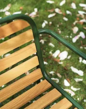 Vig Armchair Robinia, dark green