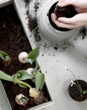 Plant Box Small, light grey