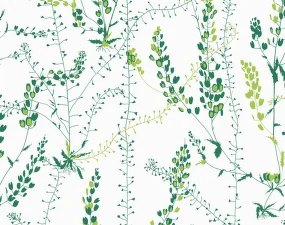 Bladranker Wallpaper 1787