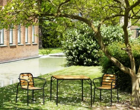 Vig Armchair Robinia, black