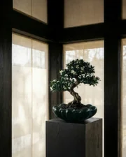 Bloom Tray Big, dark green