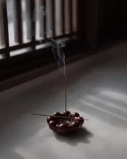 Bloom Tray Mini, maroon