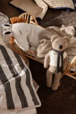 Roy Merino Teddy, sugar kelp