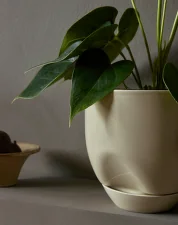 Hydrous Planter Ø20, ashen