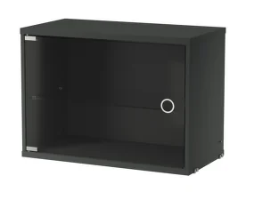 Display Cabinet with Swing Glass Door, dark grey