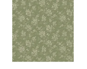 Hip Rose Wallpaper 1182