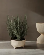 Evoke Pot Low, warm sand