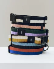 Dogs Collar Flat M/L, blue/black