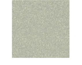 Salix Alba Wallpaper 7787