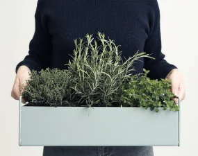 Plant Box Small, black