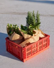 Colour Crate Medium, red