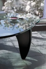 Coffee Table, black ash