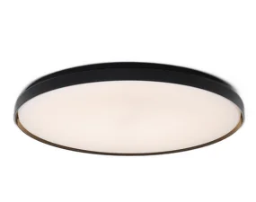 Clara Ceiling/Wall Light, fumée