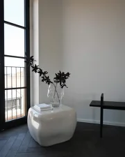 Ishi Coffee Table Medio, high glaze birch