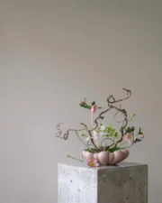 Bloom Tray Medio, rose