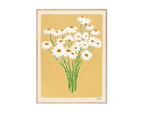 Daisies Poster 30x40