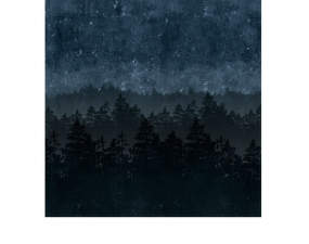 Nordic Night Wallpaper 8845