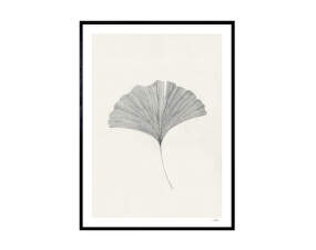 Ginkgo Leaf Poster 30x40