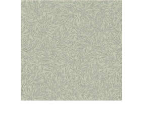 Salix Alba Wallpaper 7787