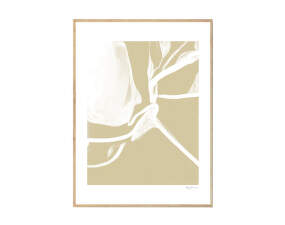 Branches Poster 50x70