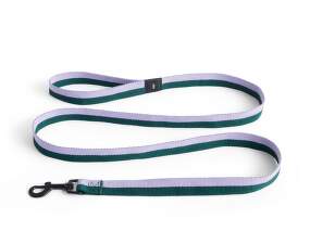 Dogs Leash Flat M/L, lavender/green