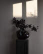 Wabi Vase Medio, smoked forest