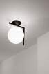 IC C/W1 Ceiling/Wall Lamp, black