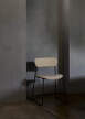 Pavilion Side Chair AV53, Clay 11