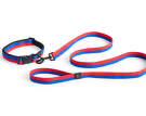 HAY Dogs Collar Flat S/M, red/blue