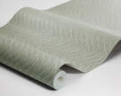 Little Fern Wallpaper 7772