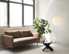 Rar 2-seater Sofa, cognac