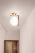 IC C/W1 Ceiling/Wall Lamp, brass