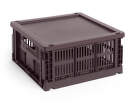 Colour Crate Lid Plastic Cube/Medium Square, bordeaux