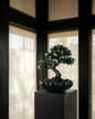 Bloom Tray Big, dark green