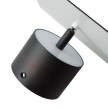 Chameleon Wall Lamp, burned black