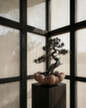 Bloom Tray Big, almond