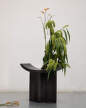 Brutus Stool, coffee