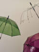 Canopy Umbrella