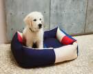 HAY Dogs Bed M, red/blue