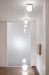 IC C/W1 Ceiling/Wall Lamp, chrome