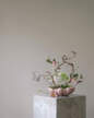 Bloom Tray Medio, rose